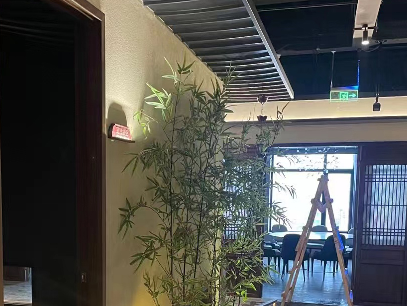 巴中合作伙伴